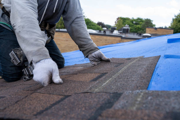 Best Roof Repair Services  in Champion Heights, OH