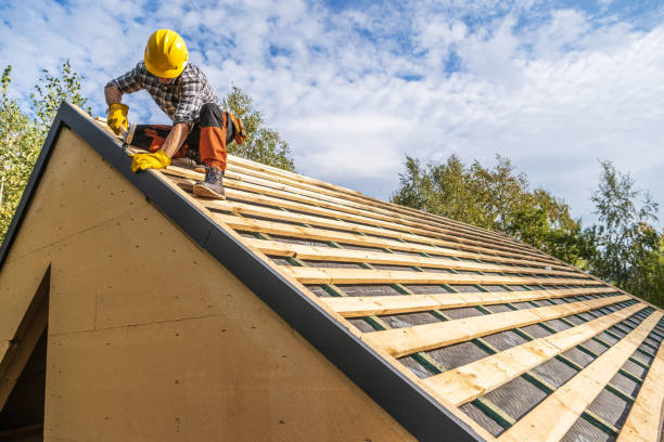 Best Roof Gutter Cleaning  in Champion Heights, OH